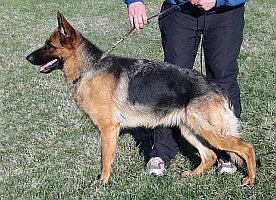 Perra Hyvink&auml;&auml;ll&auml;