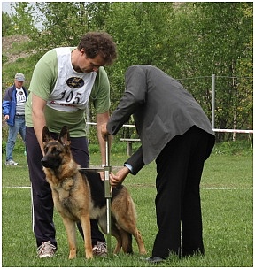 Santi Tampereen erkkarissa