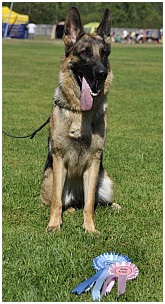 Santi ja Kemin ruusukkeet