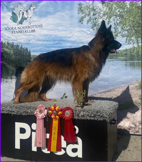 Jadovar Arianna Pite&aring;