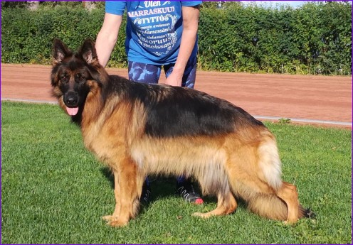 Hanni Muuramen erkkarissa