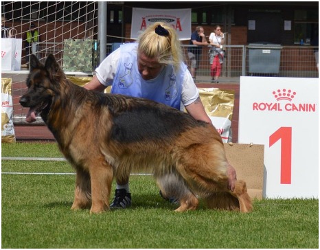 Hanni Lepp&auml;virta