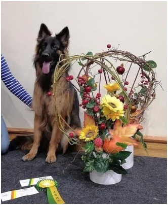 Latvian n&auml;yttely palkinnot