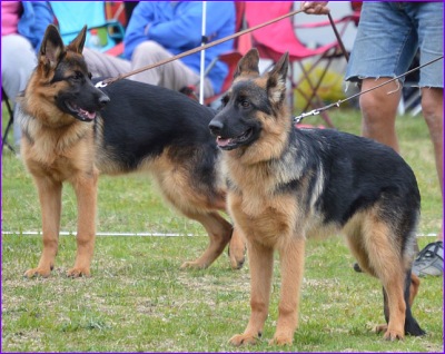 Ossin j&auml;lkel&auml;isi&auml;