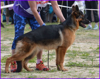 Ossin j&auml;lkel&auml;isi&auml;