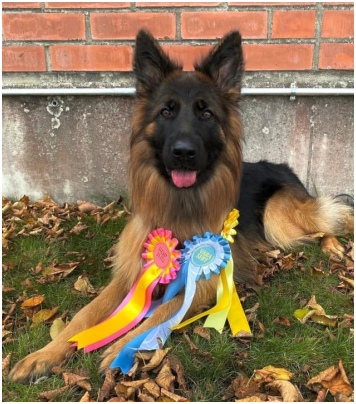 Rilla Sein&auml;joen palkinnot