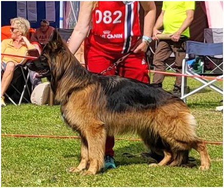 Rilla Norjan p&auml;&auml;n&auml;yttely 2023