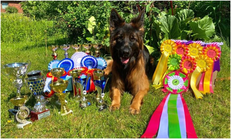 Rilla ja vuoden 2023 n&auml;yttelypalkinnot