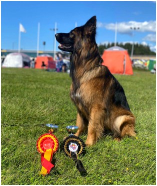 Rilla Tornion RN Hein&auml;kuu