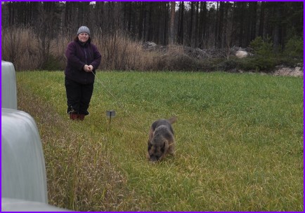 Vanni j�lkireeneiss�