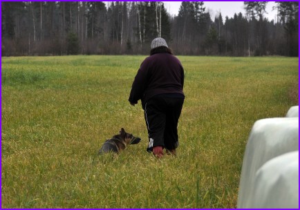 Vanni j�lkireeneiss�